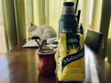 Recomendación Yerba Mate